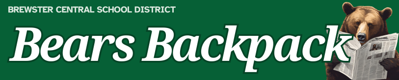 Header image for Bears Backpack.